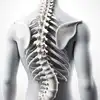 Logo of Scoliosis Guidefriend